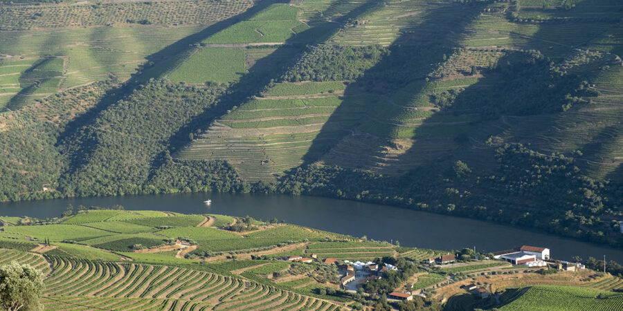 casal-loivos-douro-valley-viewpoint