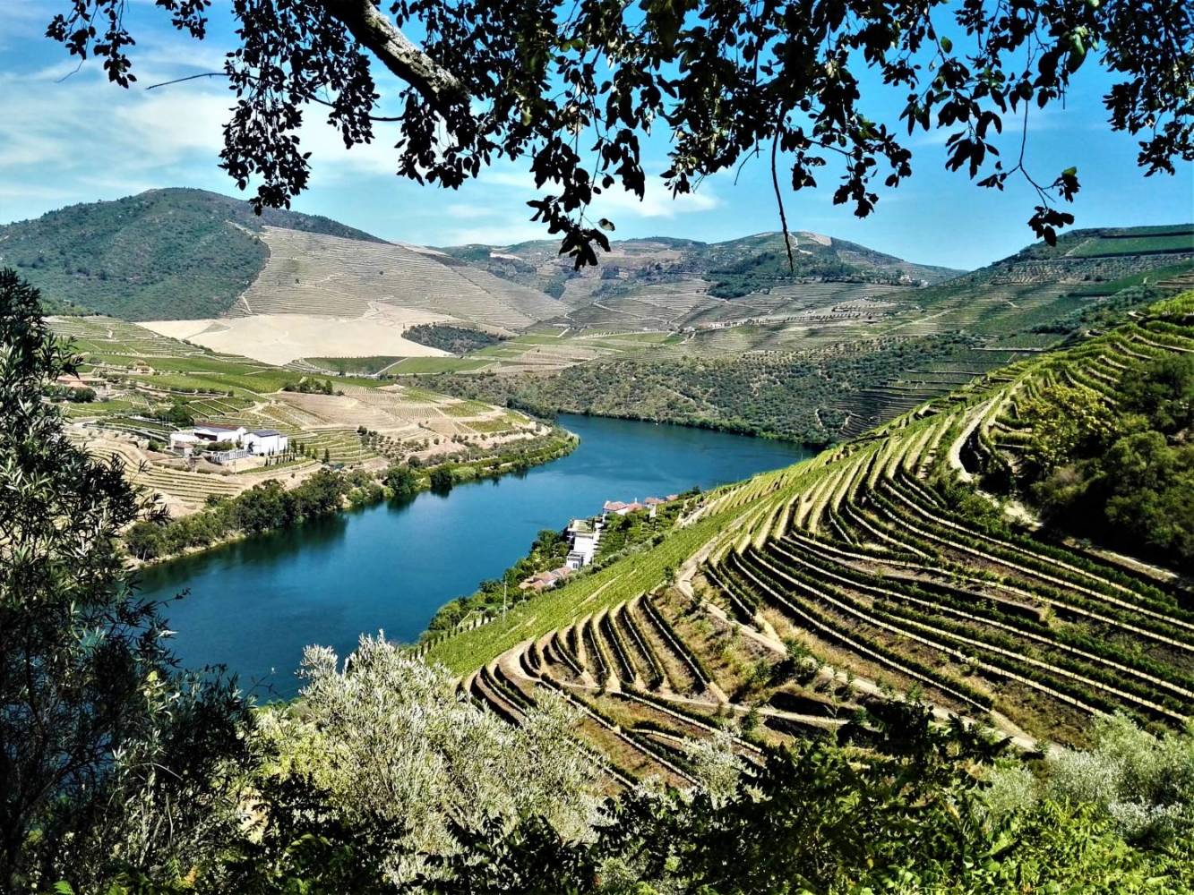 douro exclusive tours