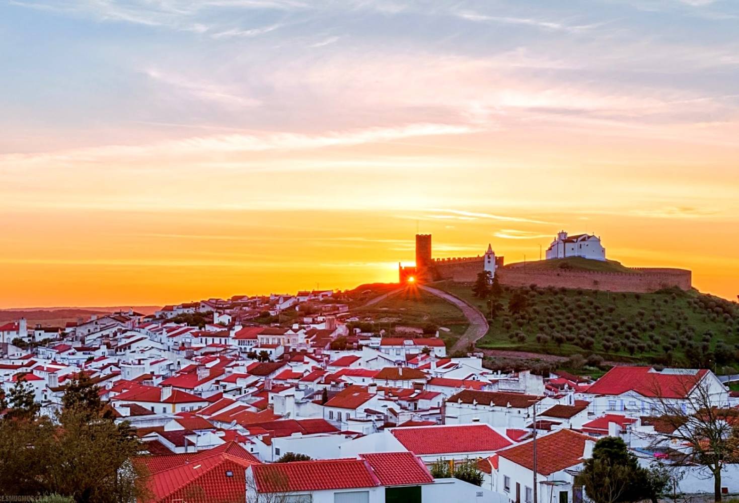 wine tours alentejo portugal