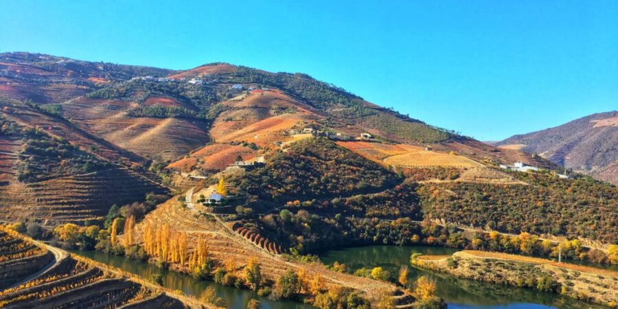 douro-valley-unesco-world-heritage-no-wonders-6b162ba365fe48c8f82583468104272a