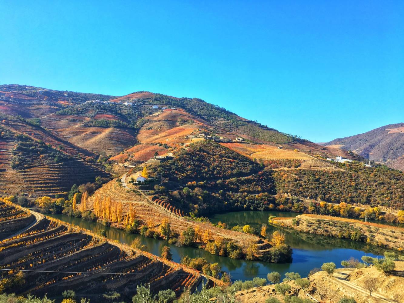 douro valley visit