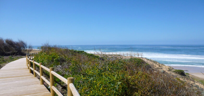 malhao-beach-costa-vicentina-alentejo