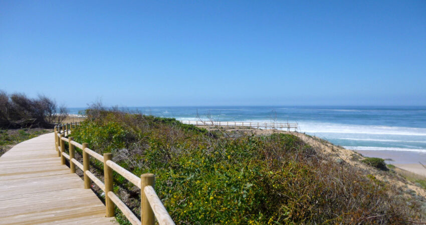 malhao-beach-costa-vicentina-alentejo