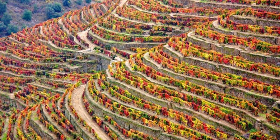 douro-automn