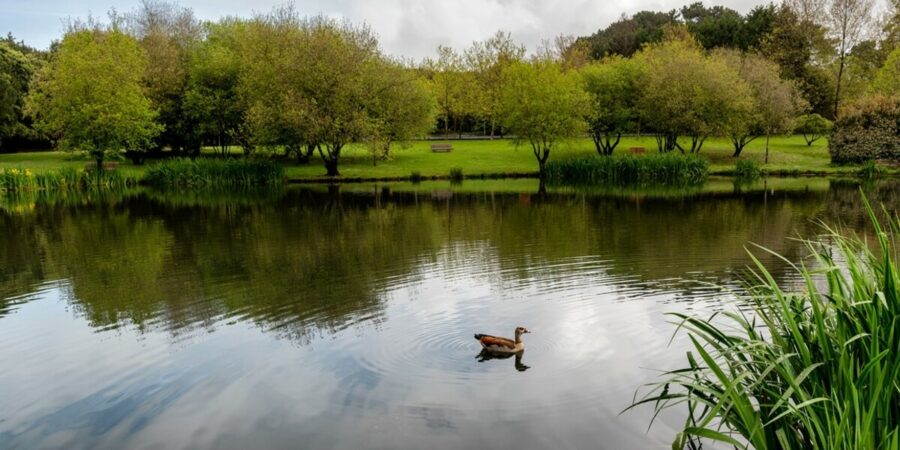 parque-da-cidade-porto