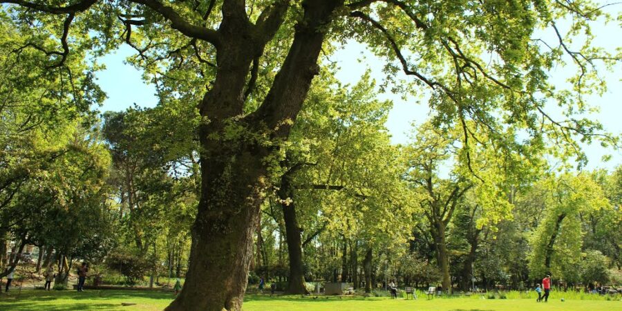 parque-aquilino-ribeiro-viseu-center