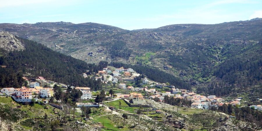 sabugueiro-serra-da-estrela