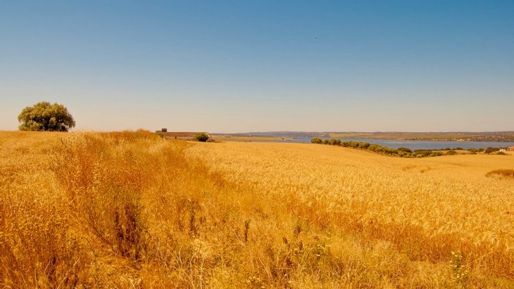 alentejo-montes