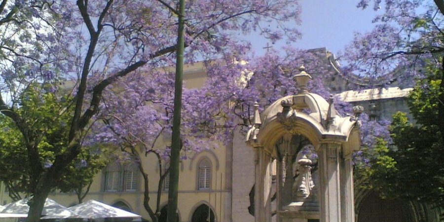 largo-do-Carmo-Lisbon (1) largo-do-Carmo-Lisbon (1)